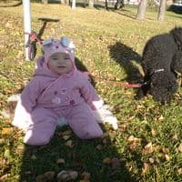 TikTok Account - aimaroshag