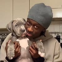 TikTok Account - leuz_officiell_2