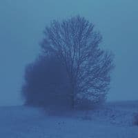 TikTok Account - ft_bhv