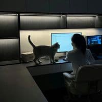 TikTok Account - crimediva