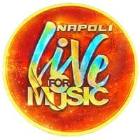 TikTok Account - napoli.live.for.music0