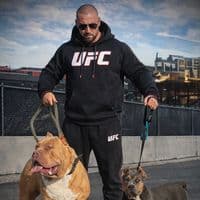 TikTok Account - americanbullytutrakan