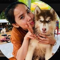 TikTok Account - trollteam111