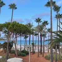 TikTok Account - maxim777_06