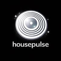 TikTok Account - housepulse0