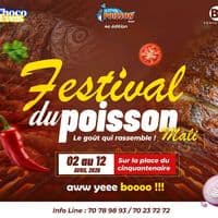 TikTok Account - molotov.molomolo