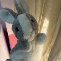 TikTok Account - piddle40