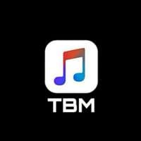 TikTok Account - the.best.musiiic