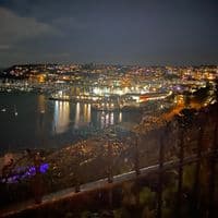 TikTok Account - wikeig255