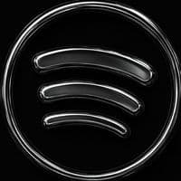 TikTok Account - spotify_song302