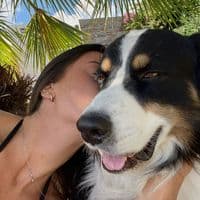 TikTok Account - ln18783