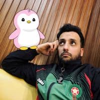 TikTok Account - capuchemantv