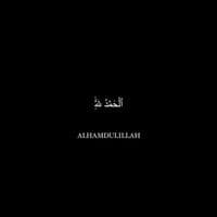 TikTok Account - spotifhalal