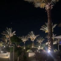 TikTok Account - _adxz.20