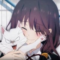 TikTok Account - dolly.asal