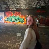 TikTok Account - elisedcc_