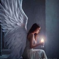 TikTok Account - zef2042tiktok