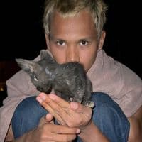 TikTok Account - maxime3u