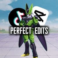 TikTok Account - perfect.edits.1