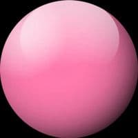 TikTok Account - 21tyler_