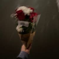 TikTok Account - ssloweddownmusic