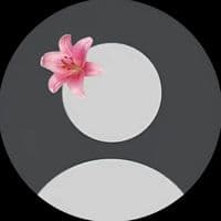 TikTok Account - newmoon82