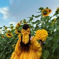 TikTok Account - balquisell7