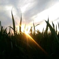 TikTok Account - annnn4.1