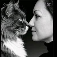 TikTok Account - dy9vzlbrubvw