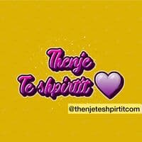 TikTok Account - thenjeteshpirtitcom