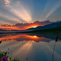 TikTok Account - userxycb7vaygn