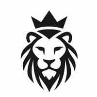 TikTok Account - braze_edit