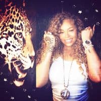 TikTok Account - hannahnotmontana.secret