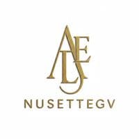 TikTok Account - nuset.tegv