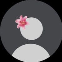 TikTok Account - noh7011