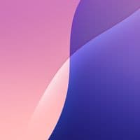 TikTok Account - anae6105