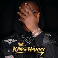 TikTok Account - couple.vibes247