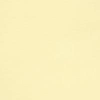 TikTok Account - lijem004