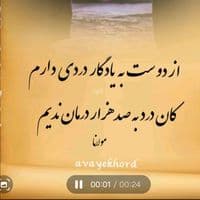 TikTok Account - miketyson313.313