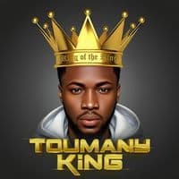 TikTok Account - toumany_king