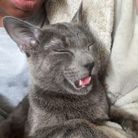 TikTok Account - itssjennykz