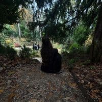 TikTok Account - its.nycolex