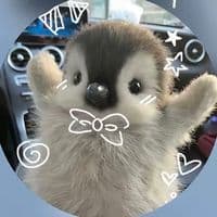 TikTok Account - nie_znasz_mnie517