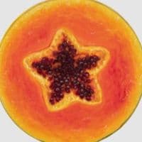 TikTok Account - nosrej.mp4