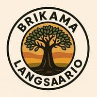 TikTok Account - kingkarabrikama2