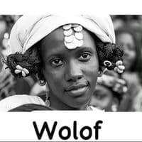 TikTok Account - wolof094