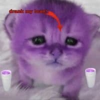 TikTok Account - purplbeats