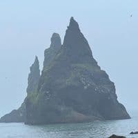 TikTok Account - paradise2269