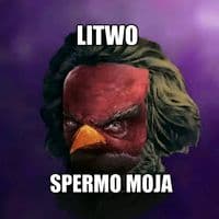 TikTok Account - kamilosyt777