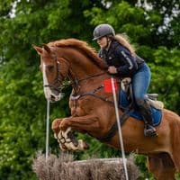 TikTok Account - aboutmarle